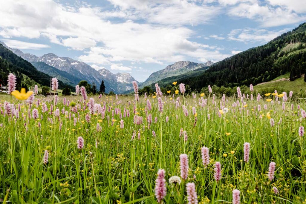 Wandern im Kleinarl mit der Familie zum Tappenkarsee